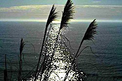 from McNee Ranch State Park, Montara